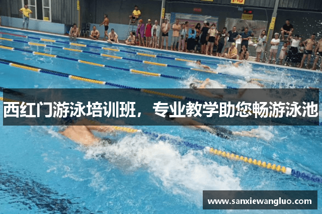 西红门游泳培训班，专业教学助您畅游泳池
